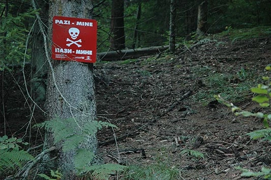 Konjic: Požar zahvatio minirano područje