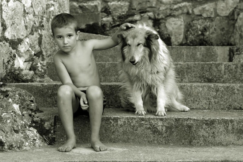 Proglašeni pobjednici natječaja Pričom i(li)fotografijom do nagrade