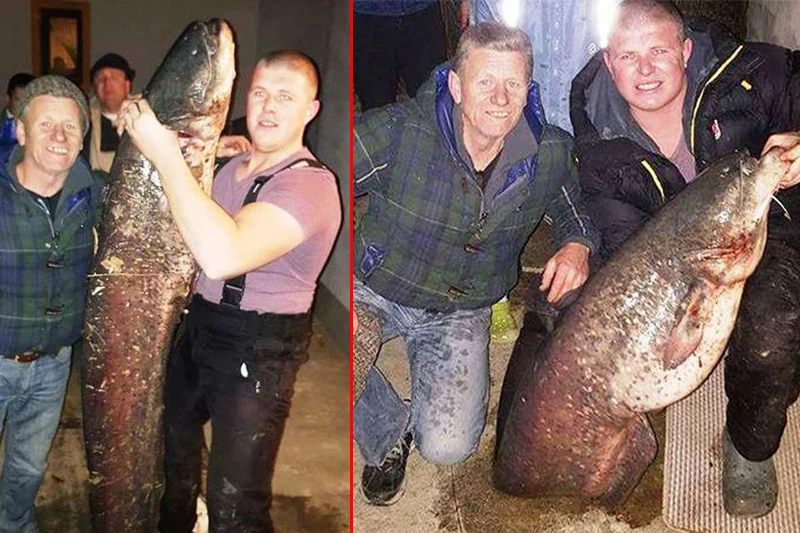 Ulovio soma od 48 kilograma