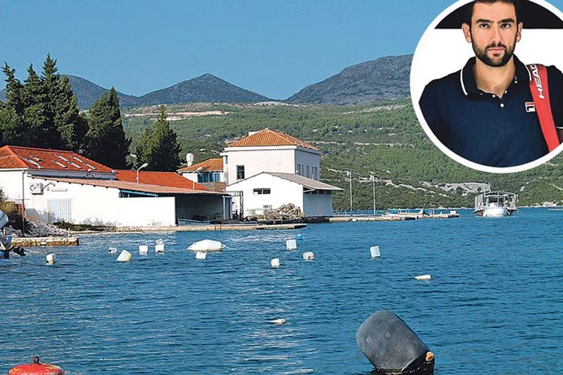 Čilić kupio posrnulu tvrtku i ulaže milijun eura u uzgoj lubina i kamenica