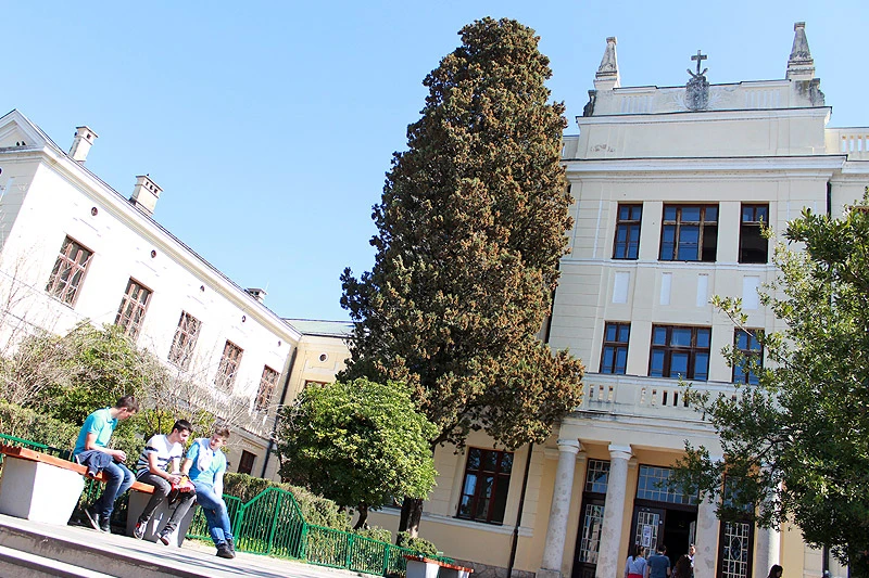 Učenica širokobriješke gimnazije oboljela od bakterijskog meningitisa