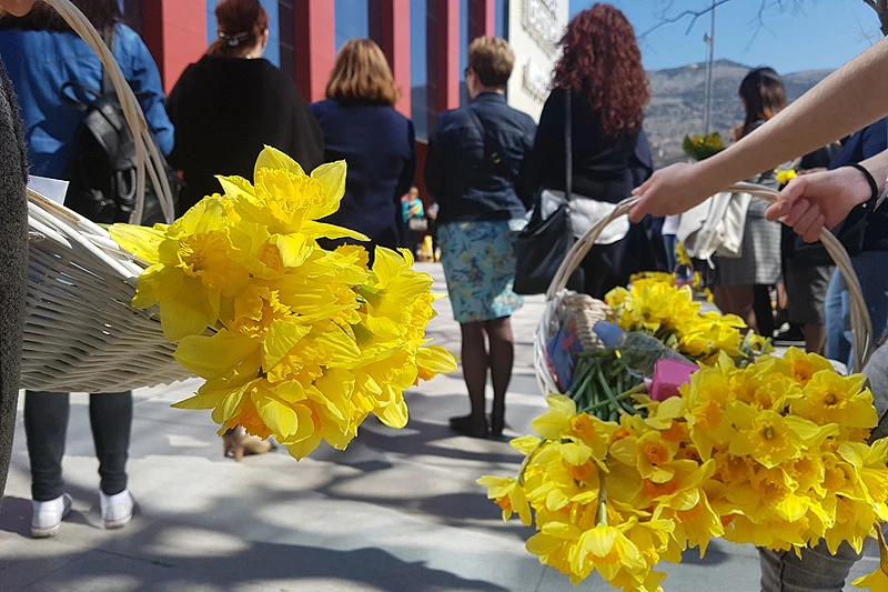 Jedan narcis jedan život - Važno je ići na redovite preglede