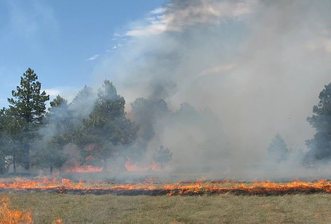 Požar kod Neuma i dalje aktivan, vjetar otežava gašenje