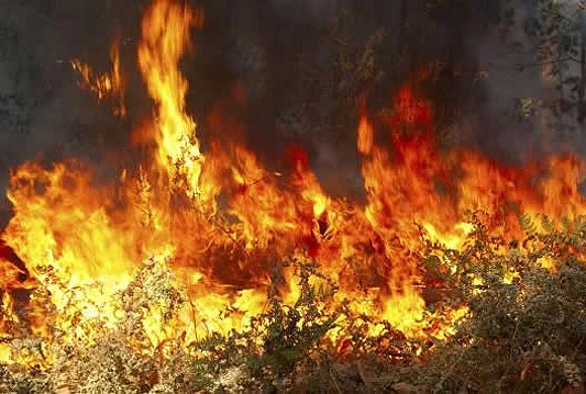 Od subote aktivan požar na području Neuma