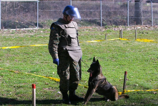 BiH neće biti očišćena od mina do 2019. godine