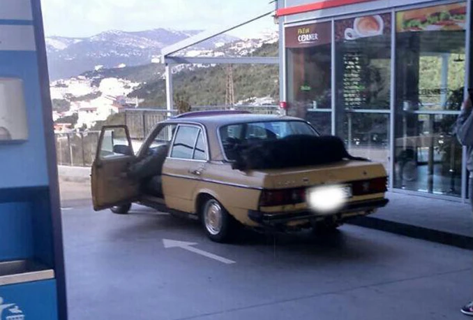 Neum: Vozio vepra na prtljažniku Mercedesa