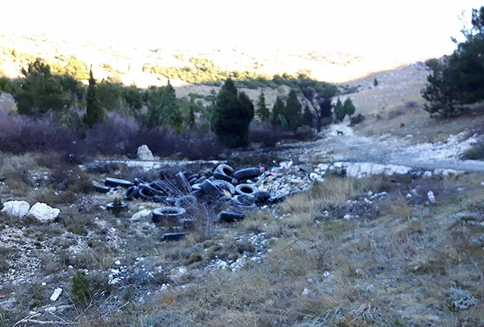 Ekološki zločin na Fortici