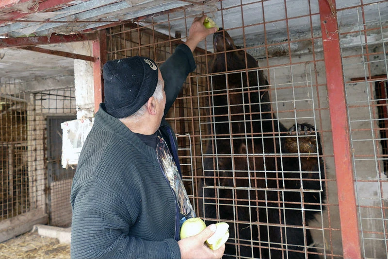 Medvjede nudi tržnim centrima u BiH kao atrakciju