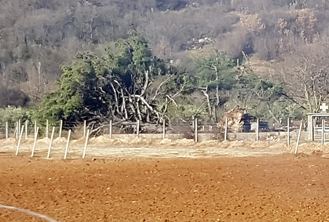 Vjetar u Mostaru rušio stabla, reklame, krovove...