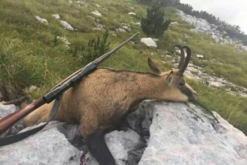 Traže se lovci-zvijeri s Vrana