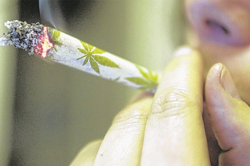 SAD: Legalizacija marihuane stavila na muke proizvođače piva