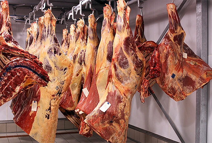 U svinjetini iz Belgije utvrđena povećana količina antibiotika sulfadijazina