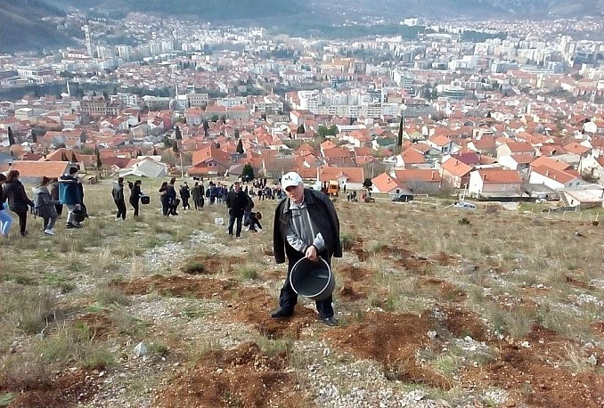 Velika akcija pošumljavanja brda iznad naselja Mazoljice