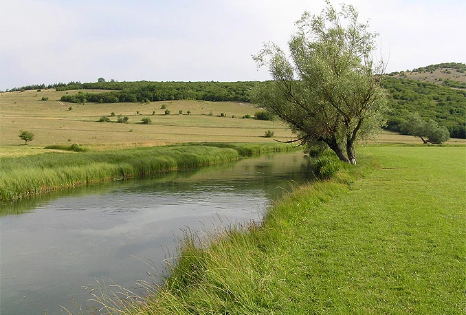 Livanjsko polje: Prostor koji treba postati funkcionalan