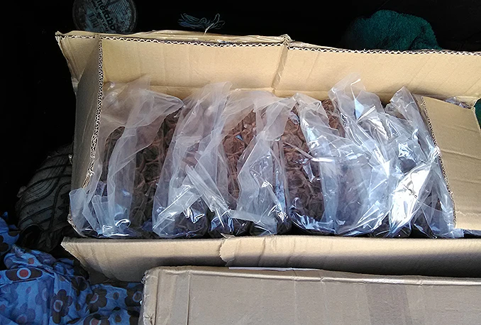Neum: Oduzeto 50 kilograma eksploziva