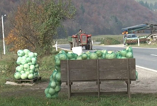 Kupus iz gornjovrbaske regije se prodaje i kupcima iz Hercegovine
