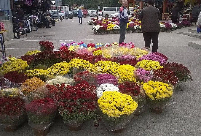 Neki na vjenčanje, neki na groblje: Zašto baš krizanteme nosimo na grobove?
