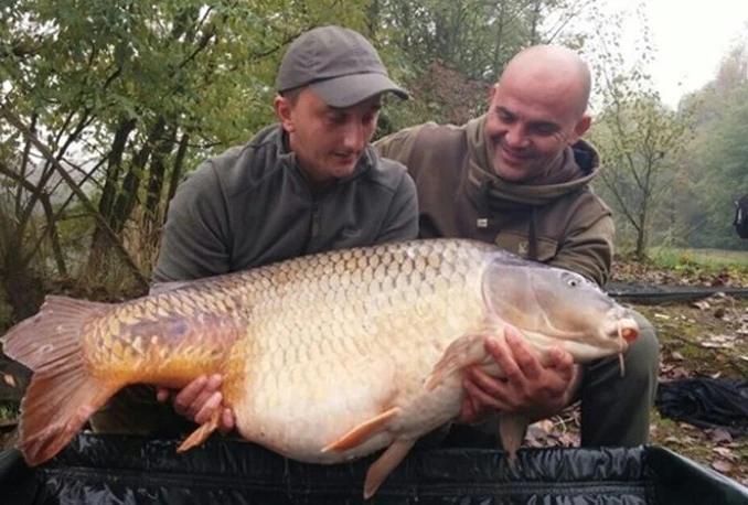 Gruđanin ulovio šarana od 36,5 kg i oborio državni rekord