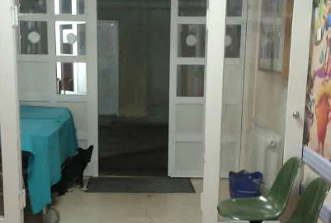 Kako je pas završio na odjelu pedijatrije SKB Mostar?!