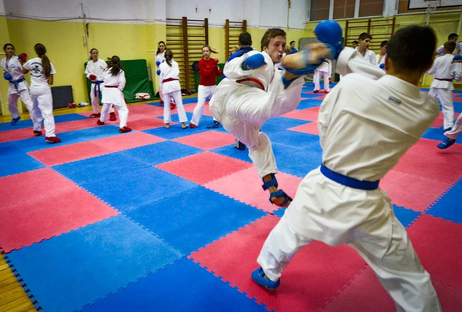 Održan sedmi međunarodni karate turnir 'Rama open 2016'