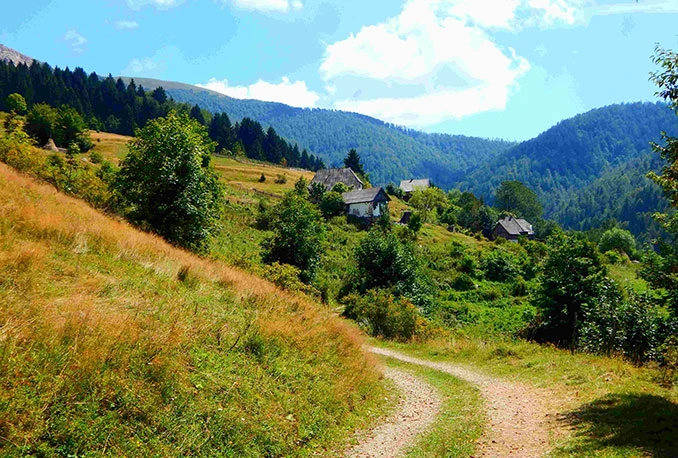 Skriveno, ali ne i zaboravljeno