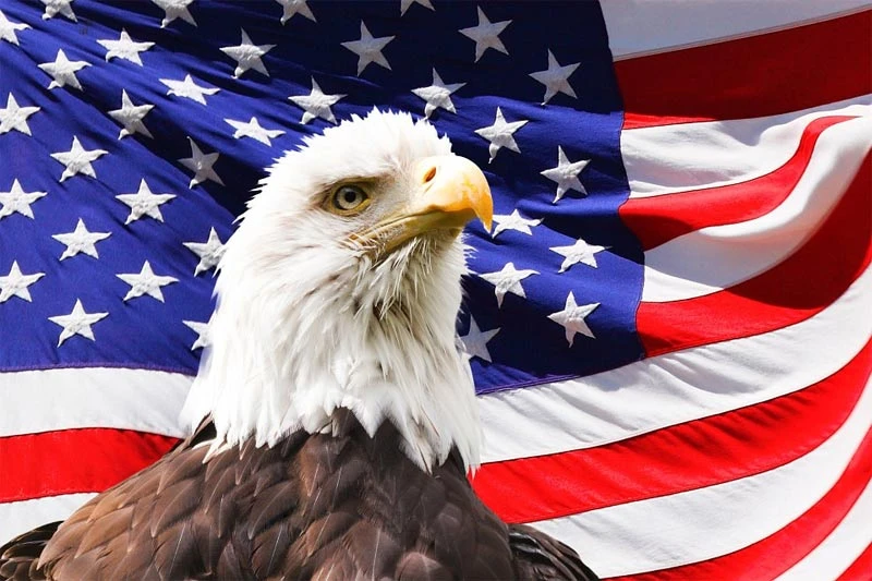 Amerika porobljava Europu: Standard se diže, države se kupuju