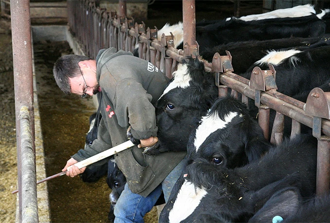 Formiran Zajednički centar za kontrolu bolesti kvrgave kože