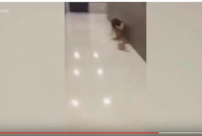 Izbacila muževu ljubavnicu golu iz stana
