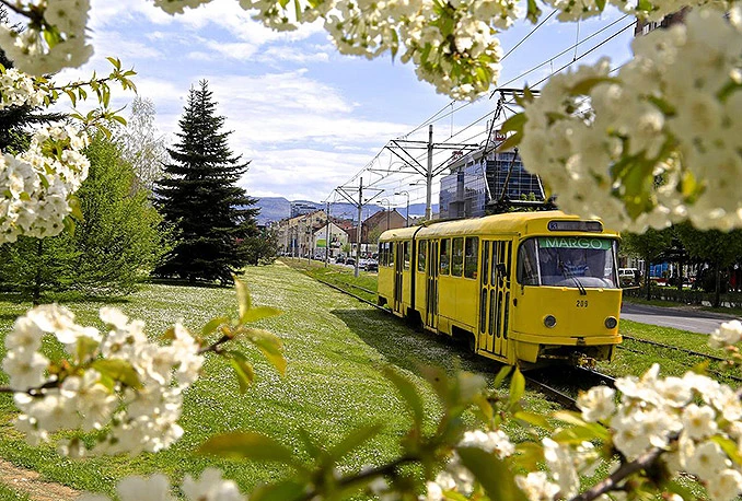 UNO zaplijenio 12 tramvaja