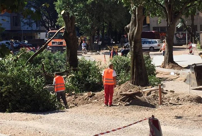 Mostar: Kružni tok pojeo još jedno stablo