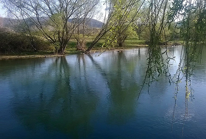Dugo te nije bilo, Treći!