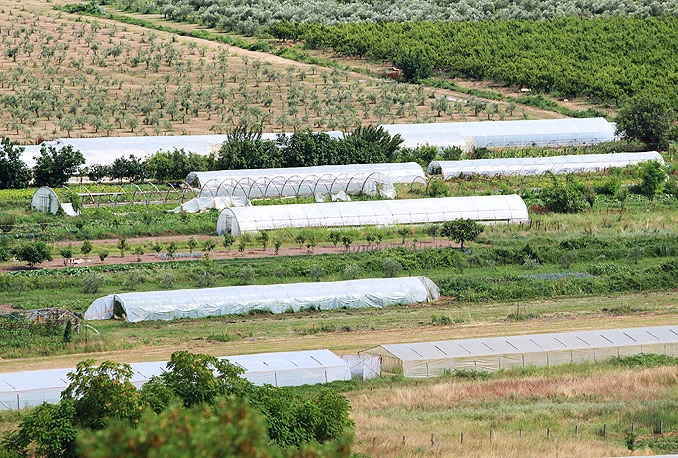 Poljoprivreda i ribarstvo dobili najviše pomoći od države