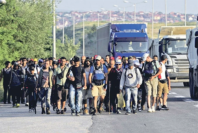 Dio migranata odustaje od pješačenja prema Mađarskoj
