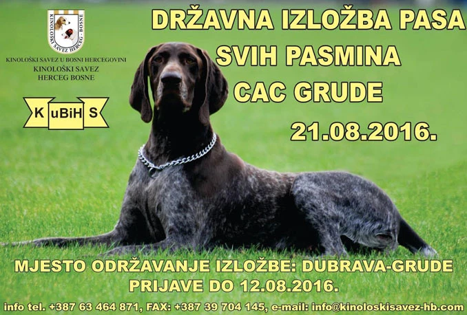 Grude domaćin prvoj nacionalnoj izložbi pasa