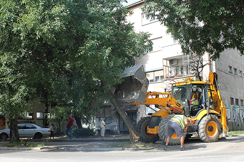 VIDEO | 'Pala' mostarska stabla za novi kružni tok