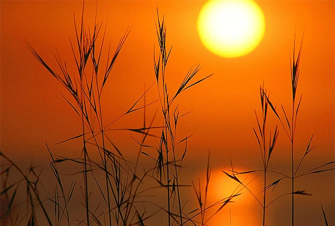 Hercegovina: Ekstremno visoke temperature upalile žuti meteoalarm