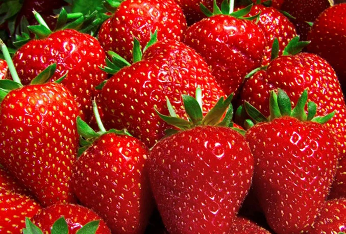Koliko jagoda i trešanja zaista smijemo pojesti? 