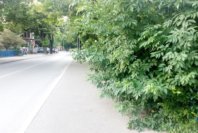 Džungla: Mogao bi Mostar (Sarajevu) pokazati zube