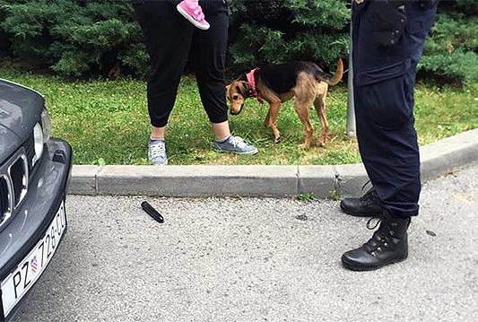 Zagreb: S ''neba'' pao vibrator i razbio staklo na BMW-u