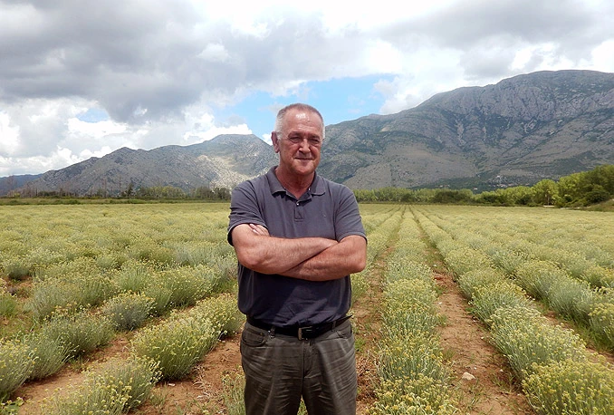 Smiljemanija u Hercegovini ne popušta