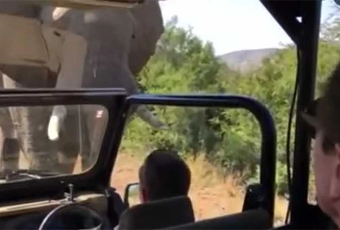 Pustolovina i u stvarnom životu: Schwarzeneggera napao slon na safariju