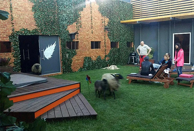 Žigo s ovcama ušao u Big Brother