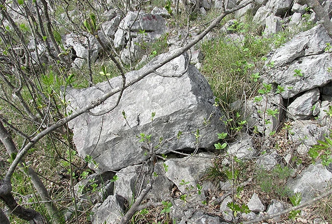 Otkrivena drevna suhozidna baština sela Buhovo kod Širokog