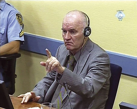 Mladićev vještak želi novi dokaz o masovnoj grobnici Tomašici
