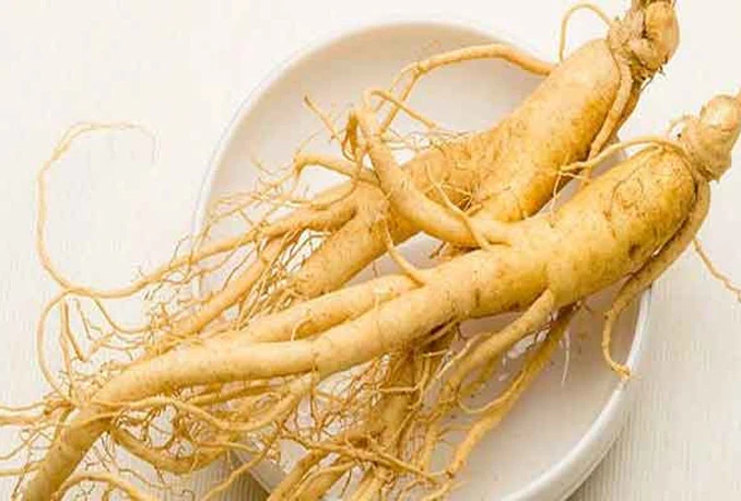 Ginseng – biljka koja čuva imunitet zaraženih HIV-om
