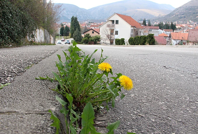 Sunce li vam naše!