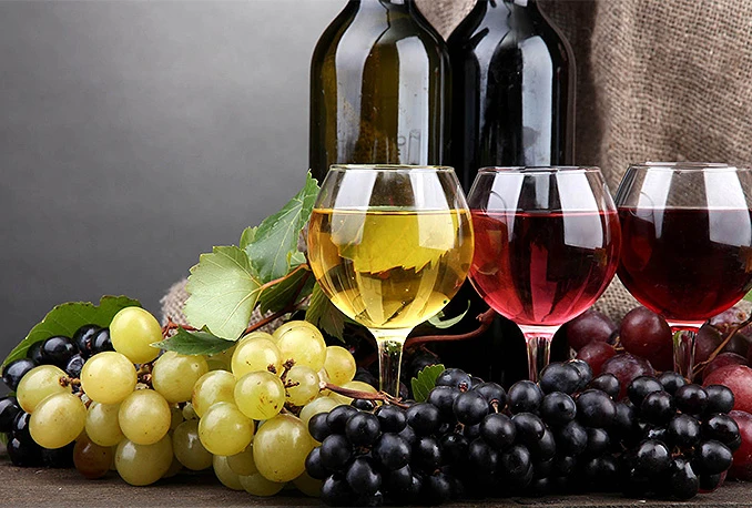 Hercegovačka vina na sajmu u Düsseldorfu