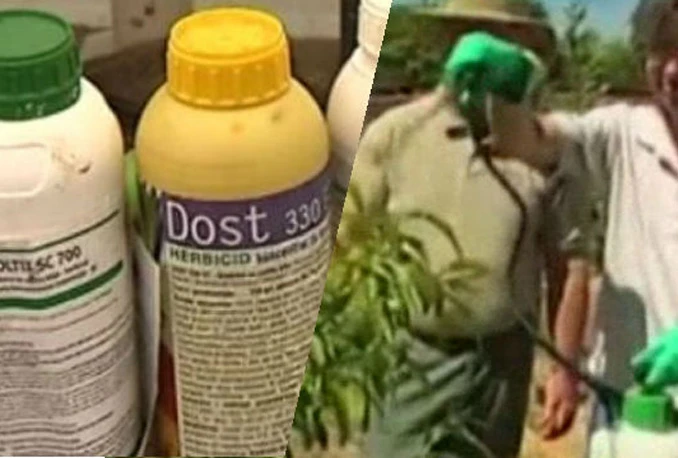 Kemikalija koju jedemo svaki dan možda uzrokuje rak