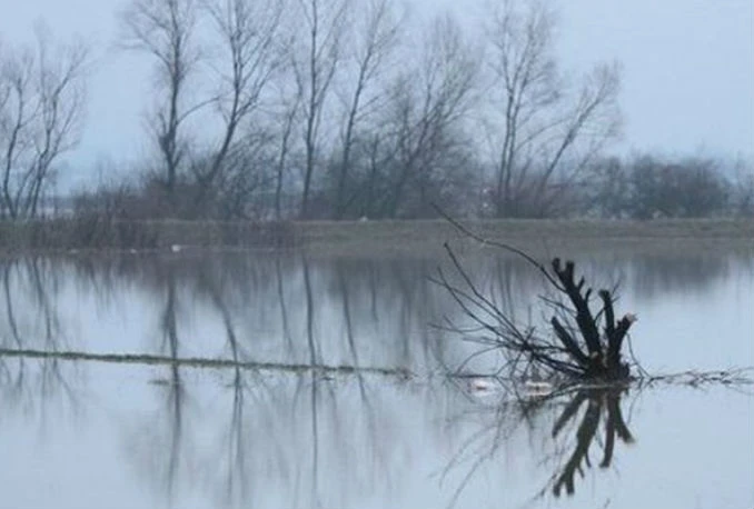 Prača se izlila iz korita, poplavljene kuće i objekti