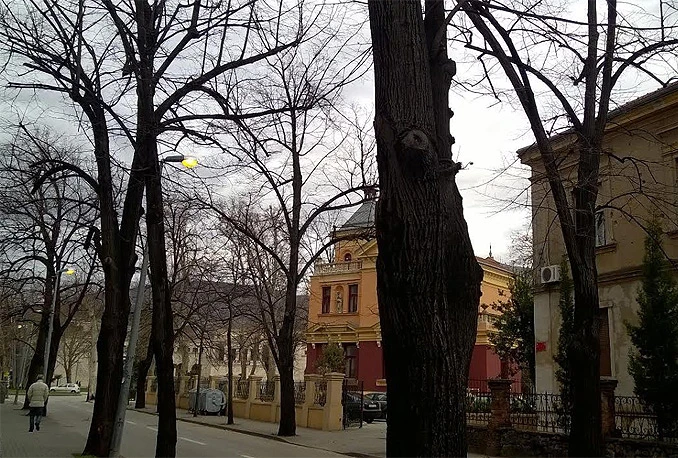 Zašto usred dana gori mostarska javna rasvjeta